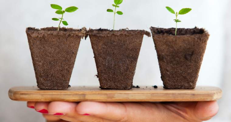 Green Start-Up: KPMG trage un semnal de alarmă - e nevoie de standarde de sustenabilitate