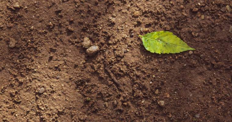 Green Start-up: O companie care validează captarea carbonului în sol primește 12 mil de dolari