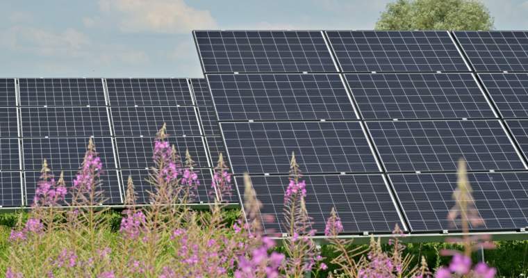Green Start-Up: Firmele admise pentru a achiziționa fotovoltaice