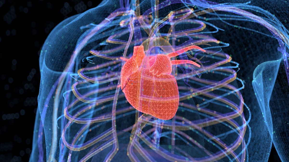 Mashable: AI + Brainwaves = maparea obiectelor pe care nu le putem vedea
