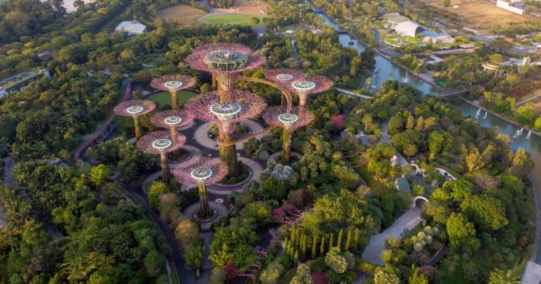 Green Start-up: Planul prin care Singapore vrea să devină primul oraș din lume cu zero emisii