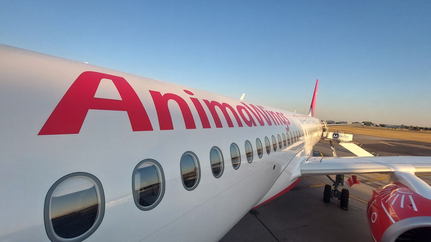 Impactul insolvenței AnimaWings asupra Christian Tour și acțiunilor sale