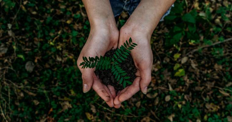 Green Start-Up: Premii pentru startup-urile verzi și circulare