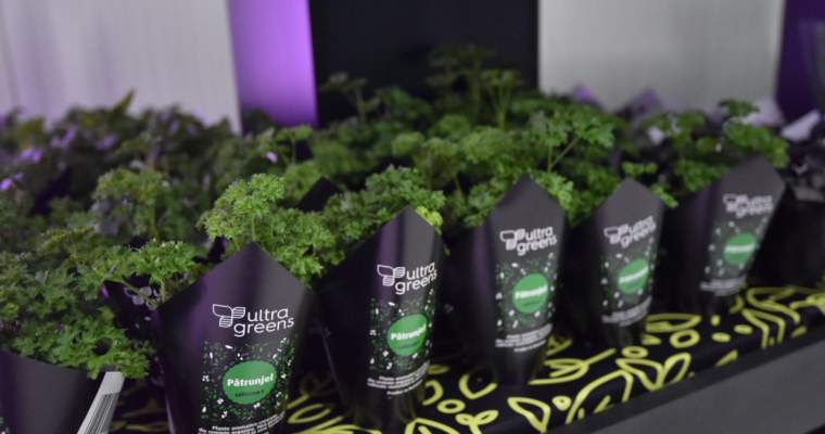 greenstart-up.ro: Kaufland și Ultragreens, prima seră verticală din România pentru agricultură „verde”