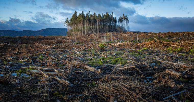 Green Start-Up: momentul decisiv pentru viitorul pe care-l dorim pentru planetă