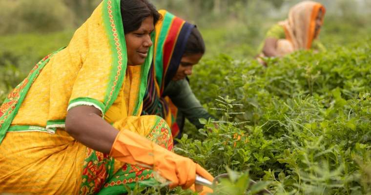 green.start-up.ro: 85 de milioane de dolari prin Mars Impact Fund