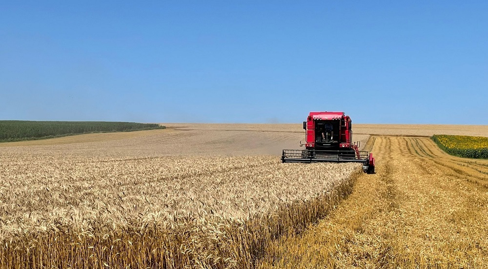 Wall-Street.ro: A renunțat la o posibilă carieră în turism pentru o afacere cu grâu