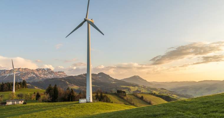 Green.start-up.ro: Cum pot fi transformate în alimente elicele reciclabile pentru turbine eoliene