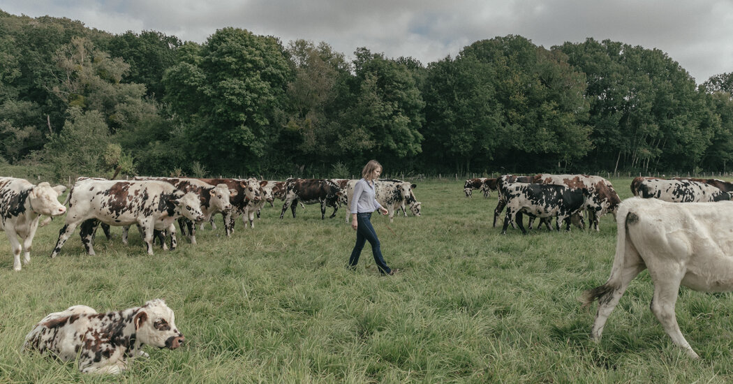 NY Times: Agricultura viitorului din Franța - cu tehnologie și weekend-uri libere