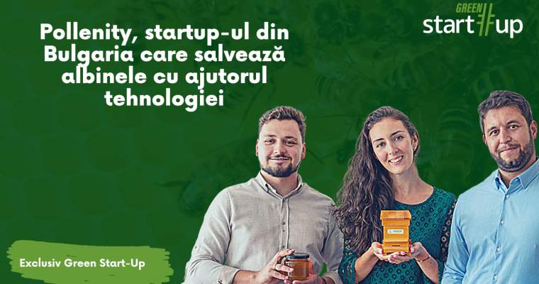 (Green Start-Up): Albinele, esențiale pentru sistemul alimentar. Cum le putem salva cu ajutorul tehnologiei?