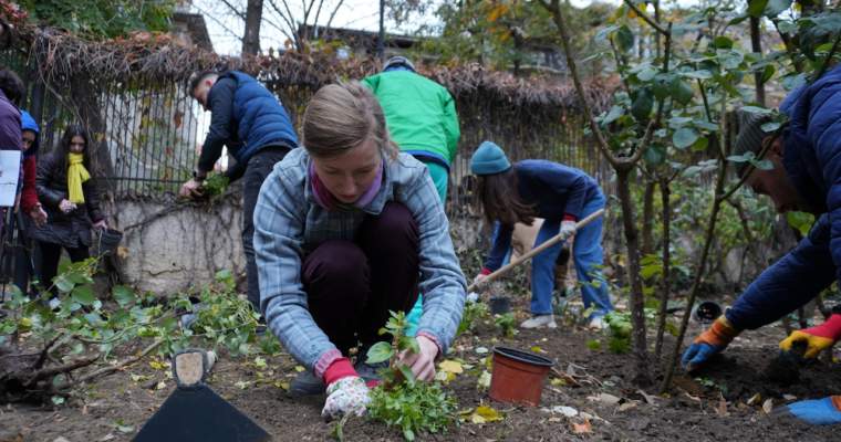 Green Start-up: Finanțare de până la 15.000 de euro pentru inițiative verzi în București
