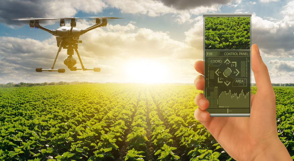Wall Street.ro: Avantajele și dezavantajele agriculturii de precizie. De ce este atât de importantă pentru fermieri