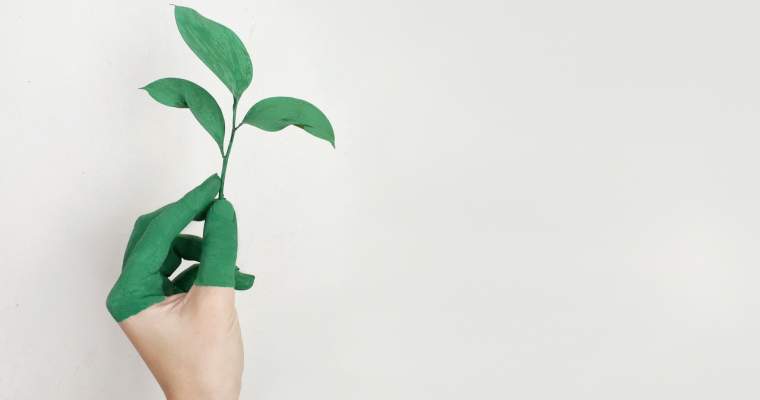 Green Start-up: patru startup-uri sustenabile pe care să le urmărești pentru un stil de viață mai verde