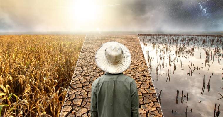 Green Start-Up: Cât ne costă secetele și inundațiile