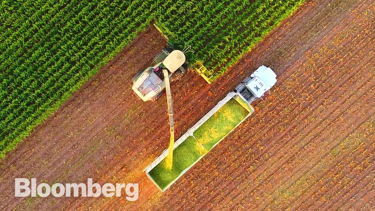 Bloomberg: Cum a explodat populația mondială