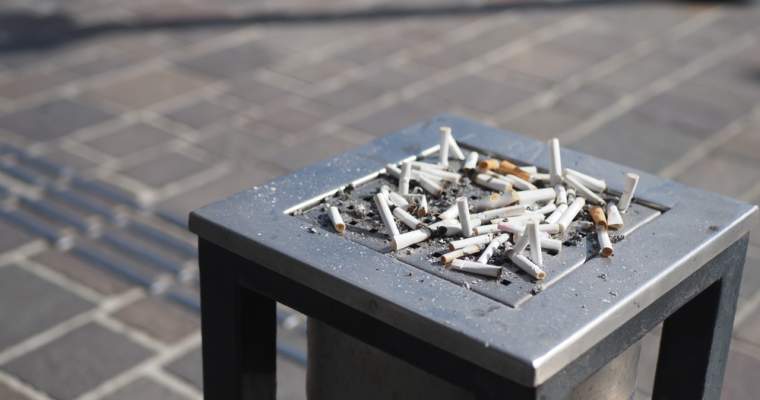 (Green Start-Up): Chiar dacă pare deja un țel pierdut pentru țara noastră, România încă poate schimba ceva