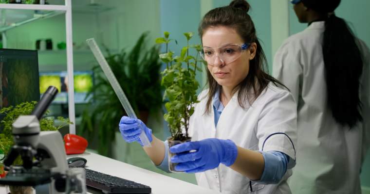 green.start-up.ro: Inteligența artificială pentru specii rare de plante