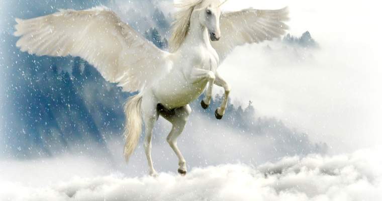 Cum devii un unicorn? Povestea UiPath spusă de ei acum doi ani.