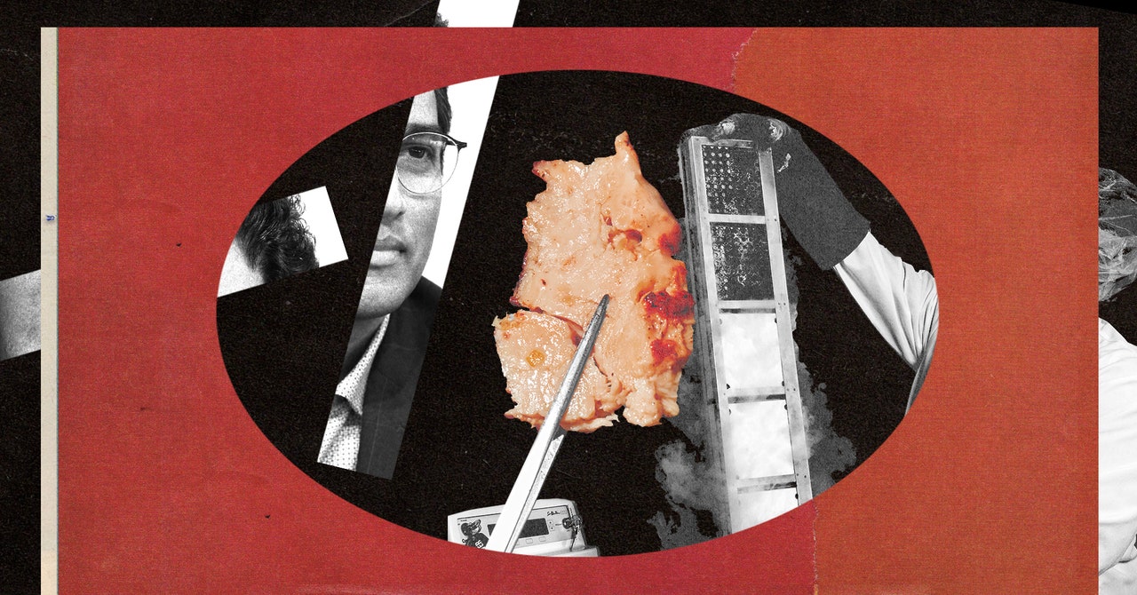 Wired: Problemele startup-urilor care fac carne în laborator