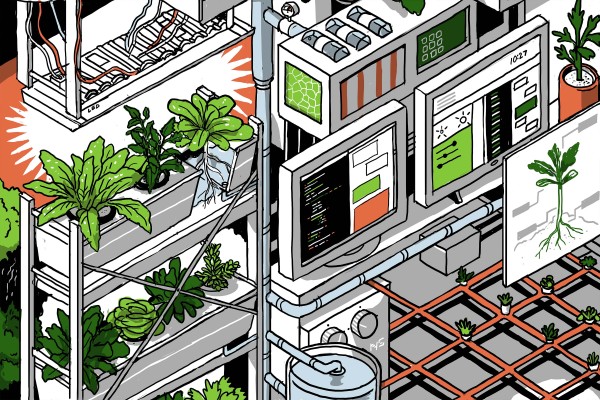 Techcrunch: Pot LED-urile înlocui soarele în agricultură?