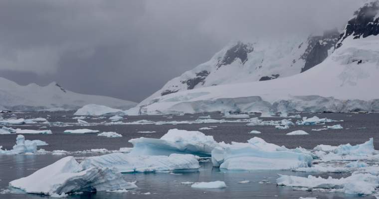 Green Start-Up: Bucăți de lemn plutitor ar putea ajuta la reînghețarea Oceanului Arctic