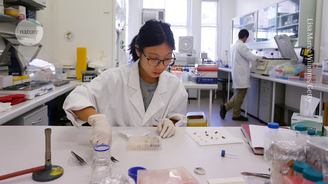 Nature: De ce tot mai puțini studenți se înscriu la doctorat?