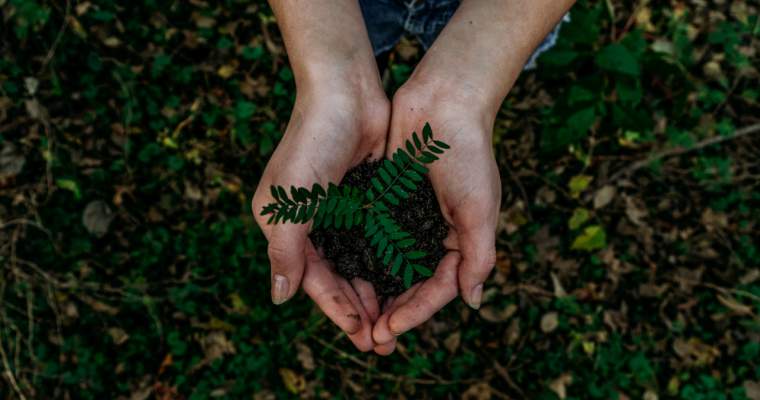 Green Start-Up: Startup-urile care ajută companiile să-și reducă emisiile de carbon