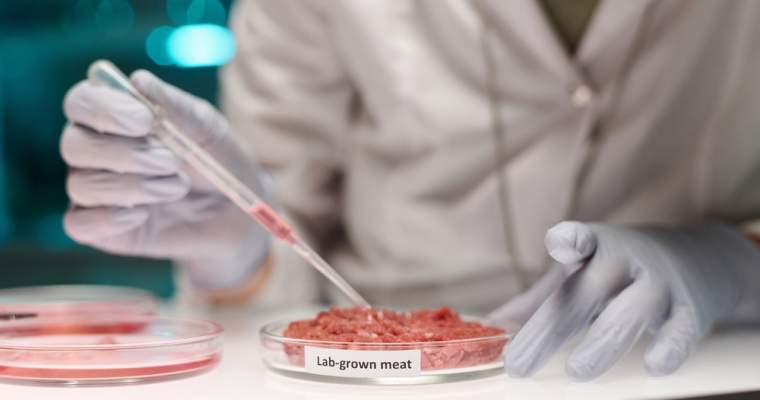 green.start-up.ro: Foie gras în laborator și pui cultivat, dieta anului 2035
