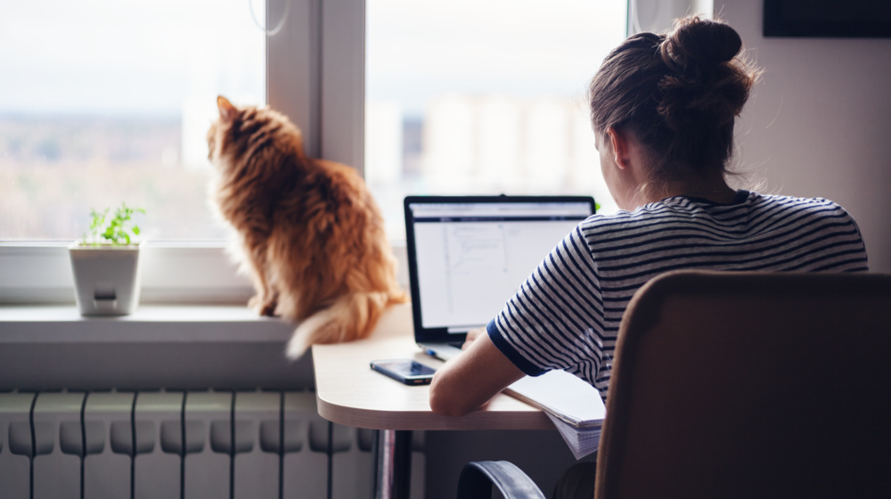 Wall-Street.ro: Vor păstra companiile sistemul de work from home și după ce va trece pandemia?