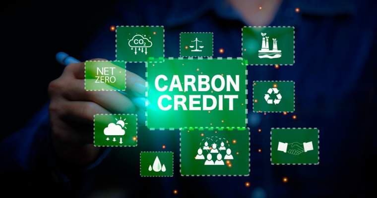 Green Start-Up: Ce sunt creditele de carbon și cum le folosesc companiile?