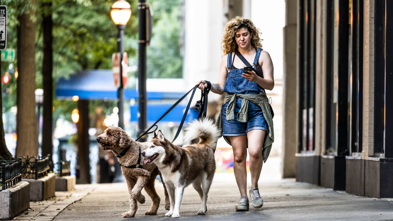 Bankrate: 18 idei de afaceri pentru 2023