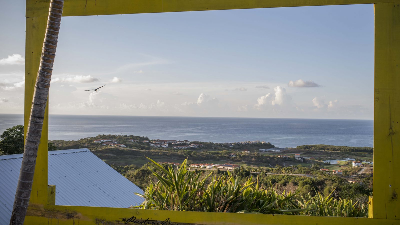 Restoftheworld: Orașul libertarian construit în Honduras de oameni din Silicon Valley