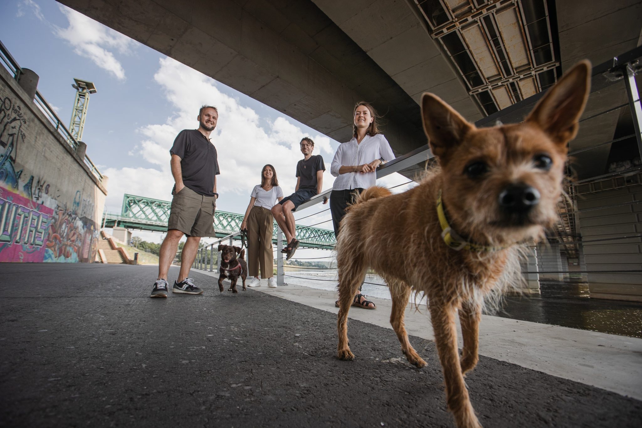 Sifted.eu: Un nou trend în lumea startupurilor - PetTech