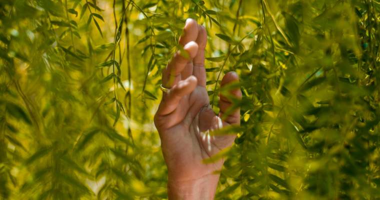 Green Start-up: De ce ar trebui să îți automatizezi afacerea dacă ții la sustenabilitate