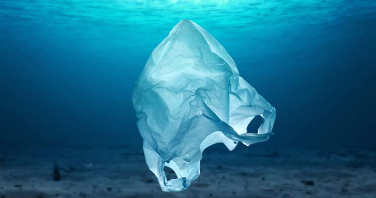 green.start-up.ro: Bioplastic solubil în câteva ore: cum poate salva ecosistemele marine