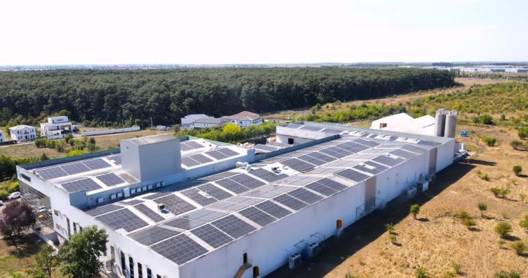 Green Start-Up: Promateris produce ambalaje bio-based cu energie regenerabilă