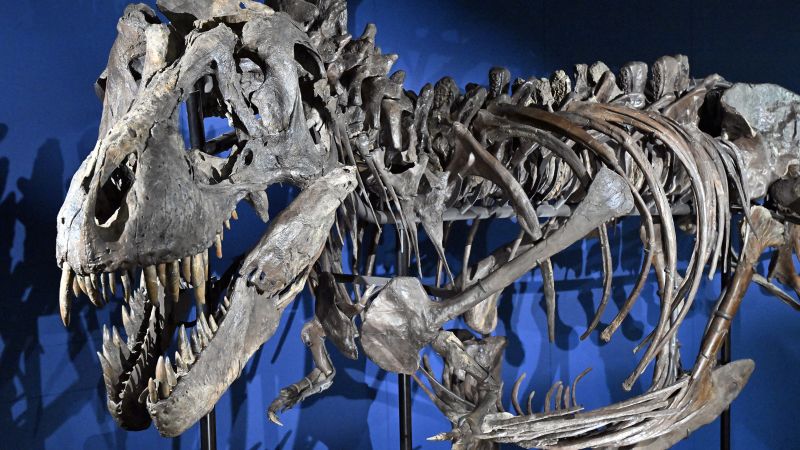 CNN: De ce aveau dinozaurii T-Rex brațele așa de mici?