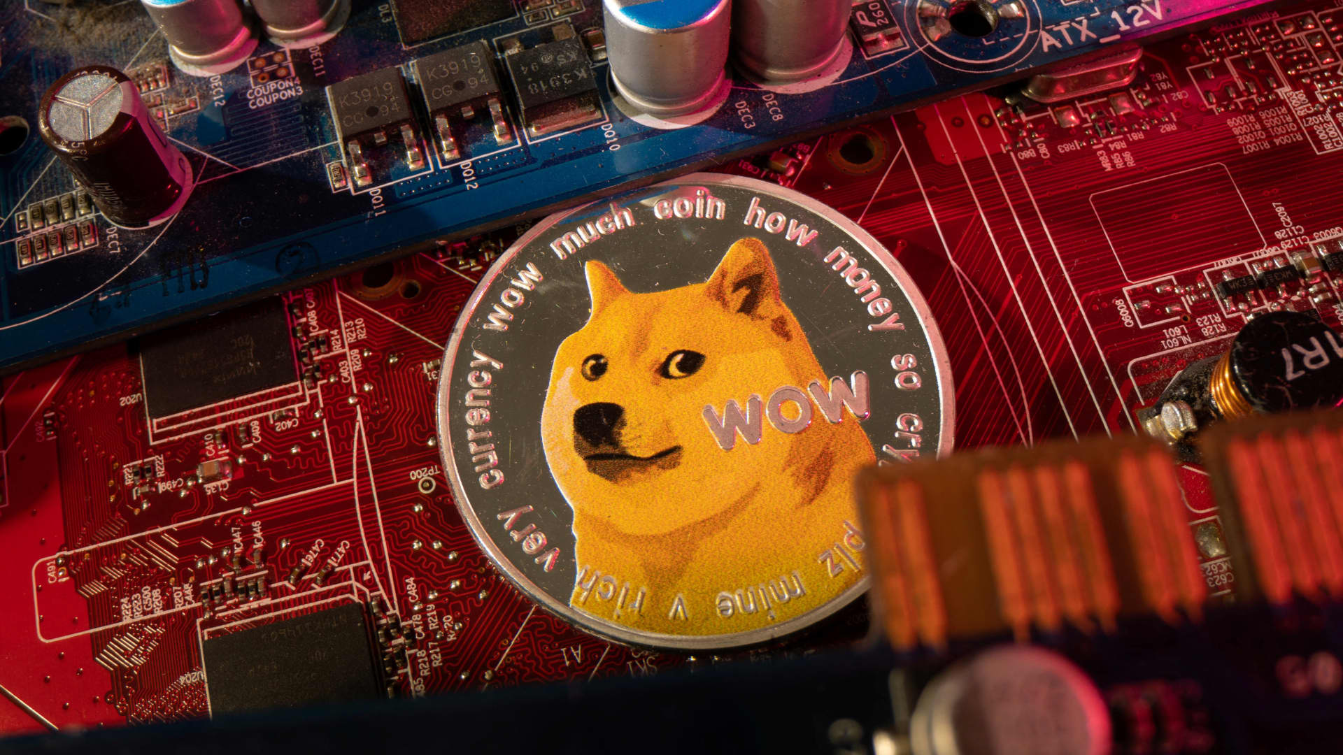 CNBC: Moneda Dogecoin crește după ce Musk va fi șeful departamentului DOGE din Guvern