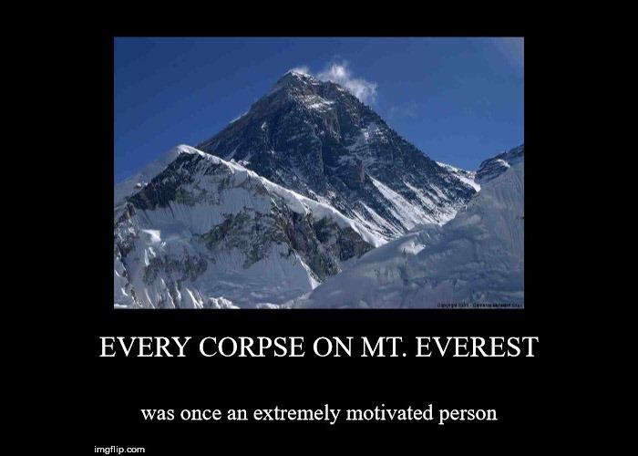 zoso.ro: Poți să reușești în viață fără facultate?