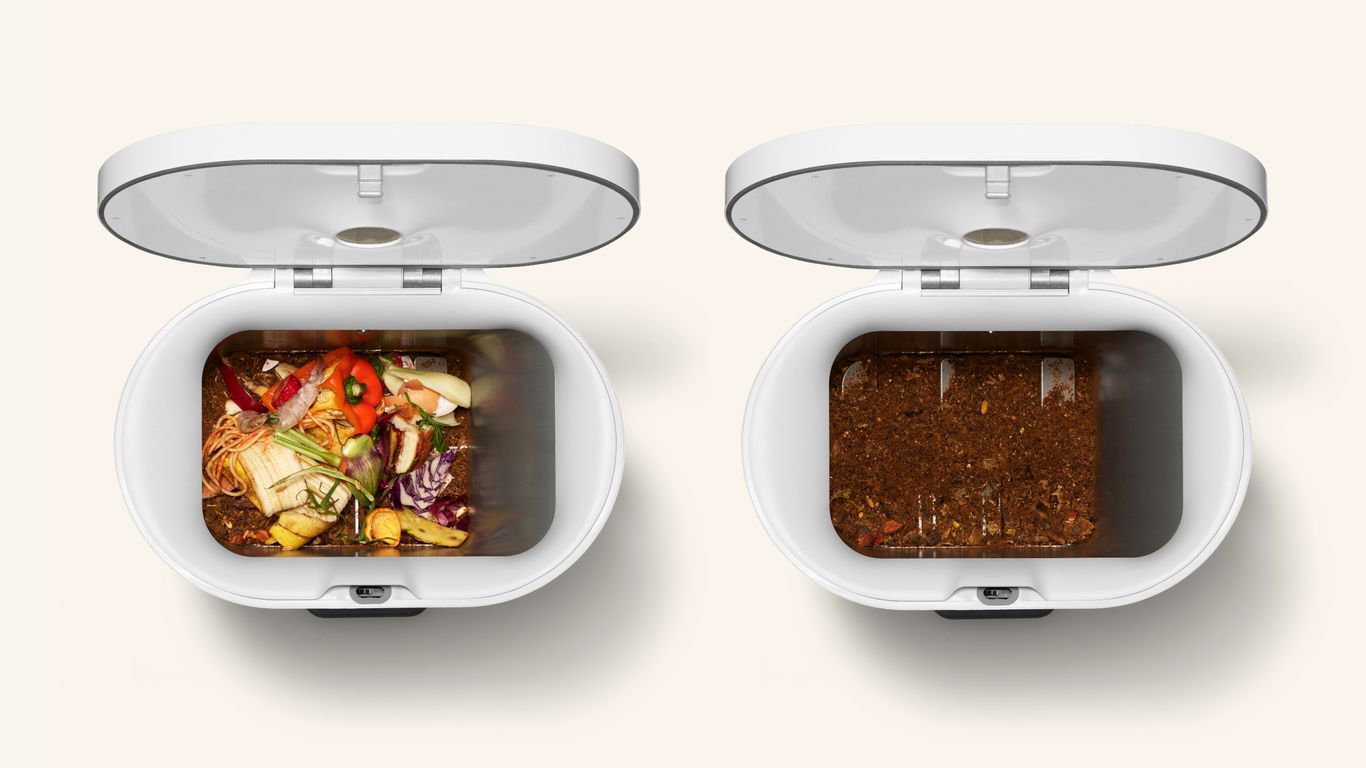 Axios: Un startup vrea să transforme deșeurile alimentare în hrană pentru găini