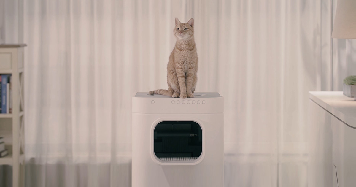 Indiegogo: Pentru posesorii de pisici - cea mai inteligentă litieră făcută vreodată
