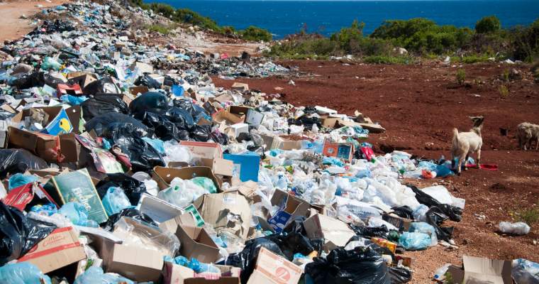 Green Start-Up: Cum afectează deșeurile din plastic mediul