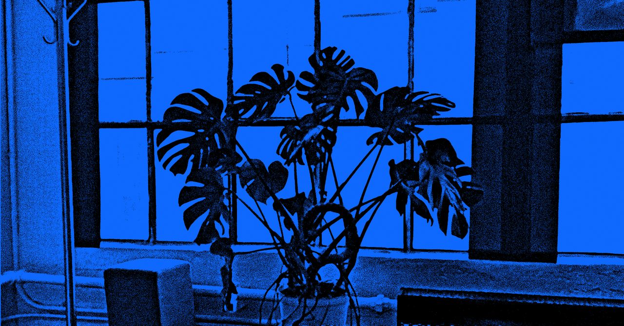 Wired: Când va exploda bula AI?