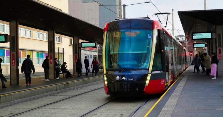 green.start-up.ro: orașul care încearcă să combată poluarea cu transport public gratuit