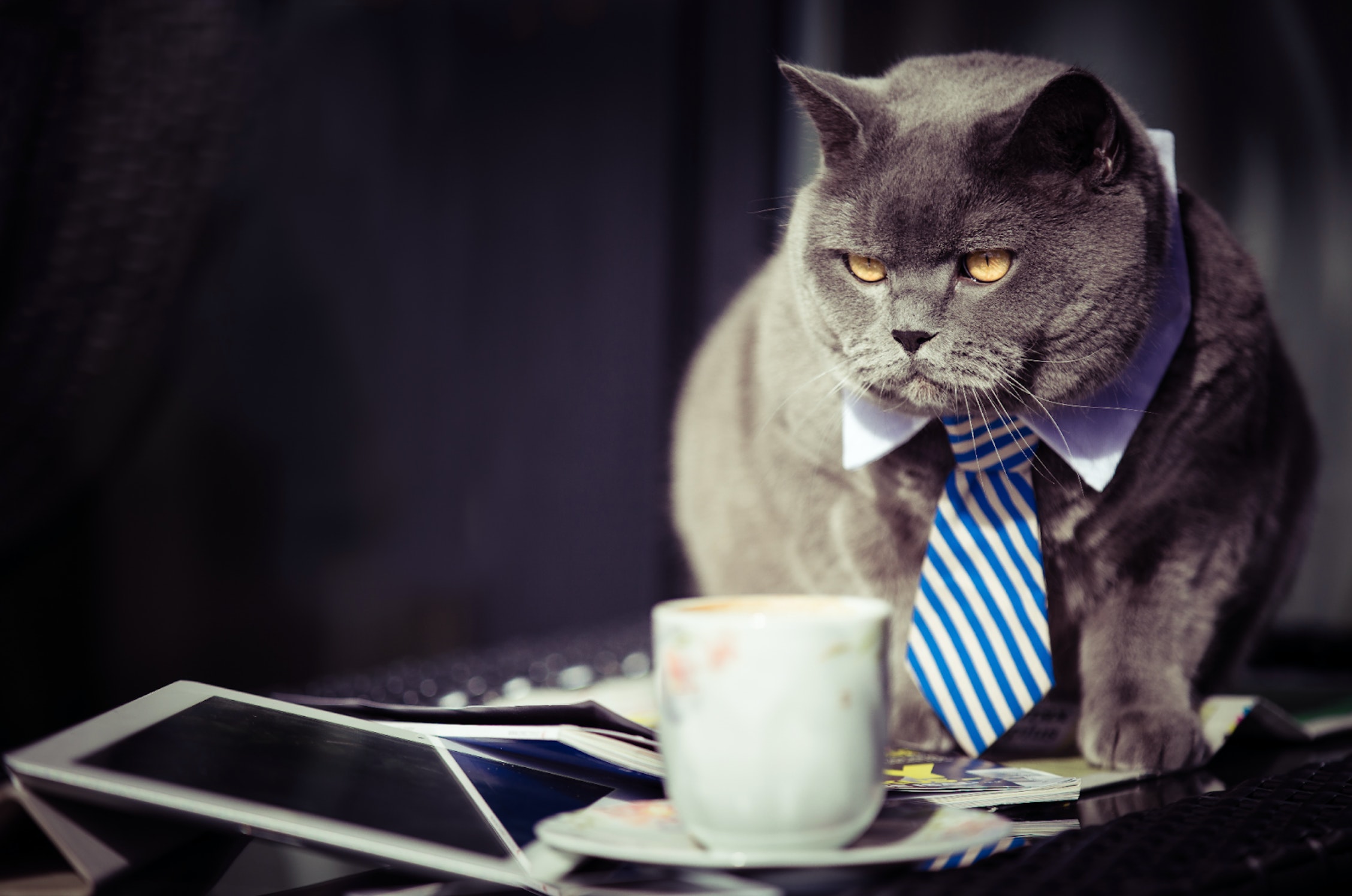 Sifted.eu: Cum e percepută munca remote în marile companii de tech