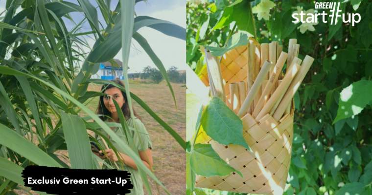 Green Start-Up: Pai din Stuf îți arată că sustenabilitatea paielor de băut e în Delta Dunării