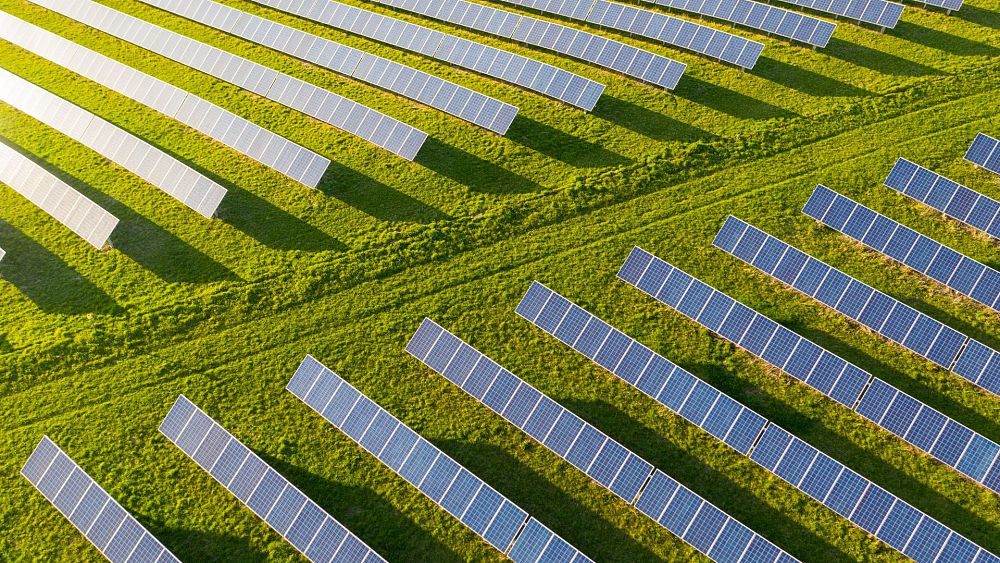 Euronews.green: Sursele regenerabile le vor depăși pe cele poluante până în 2025, spun experții