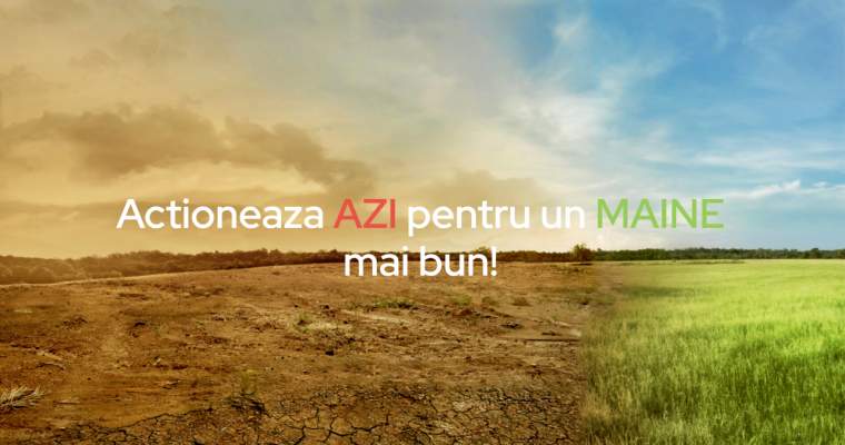 Green Start-up: România de „Azi pentru Mâine”: cum ajungi să colectezi separat și cu impact