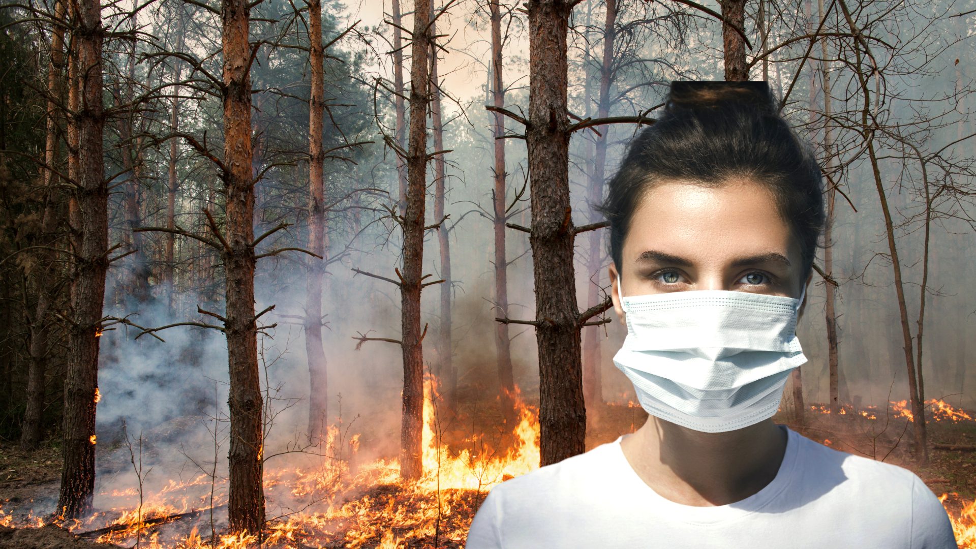 TrendingTopics.eu: Aplicația care monitorizează aerul toxic produs de incendiile de vegetație