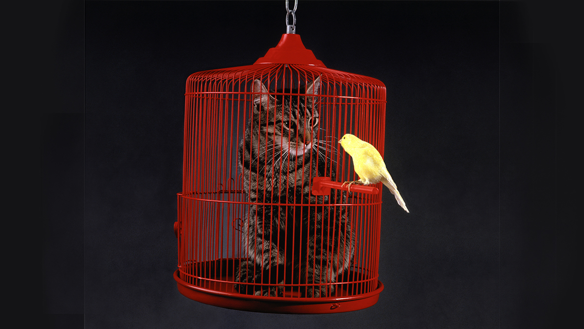 HBR: cum să-ți dai seama care este influența ta în companie